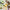 DELUXE HEMP SKINCARE PACK – Complete Natural Care Collection